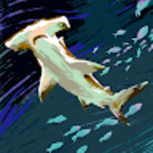 Meet your Posher, Jreyes